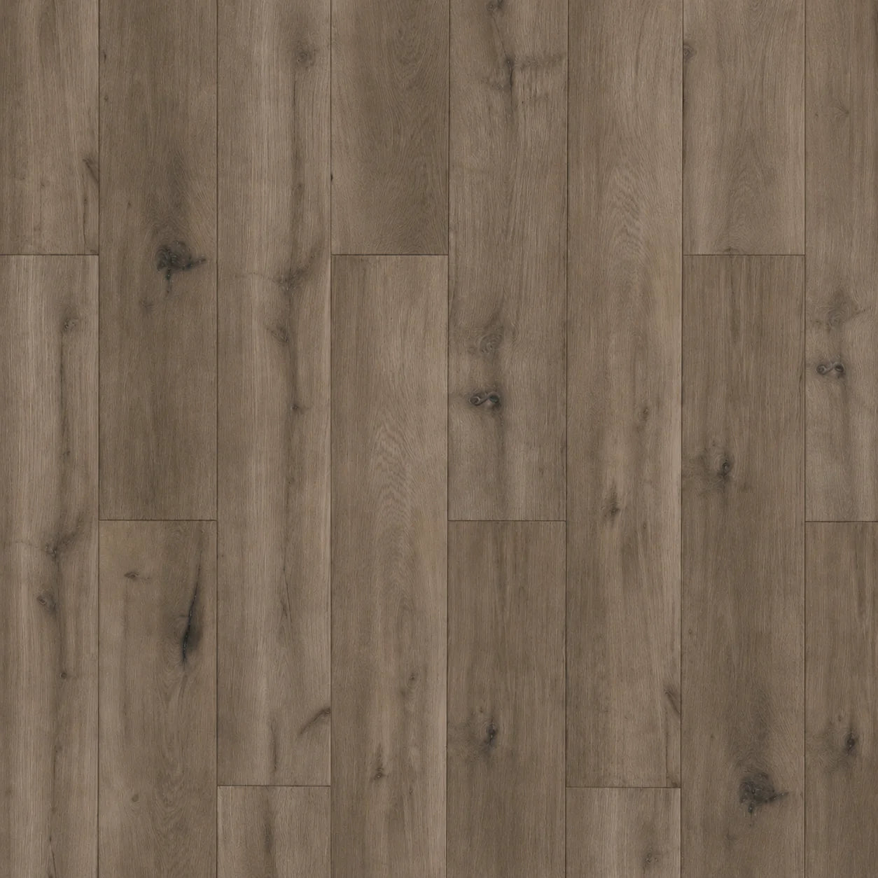 8001/OLSO OAK