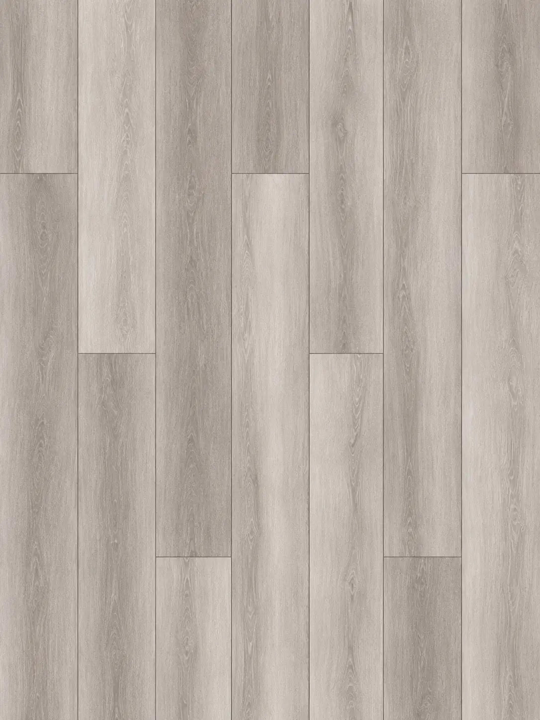 Eiffel Oak