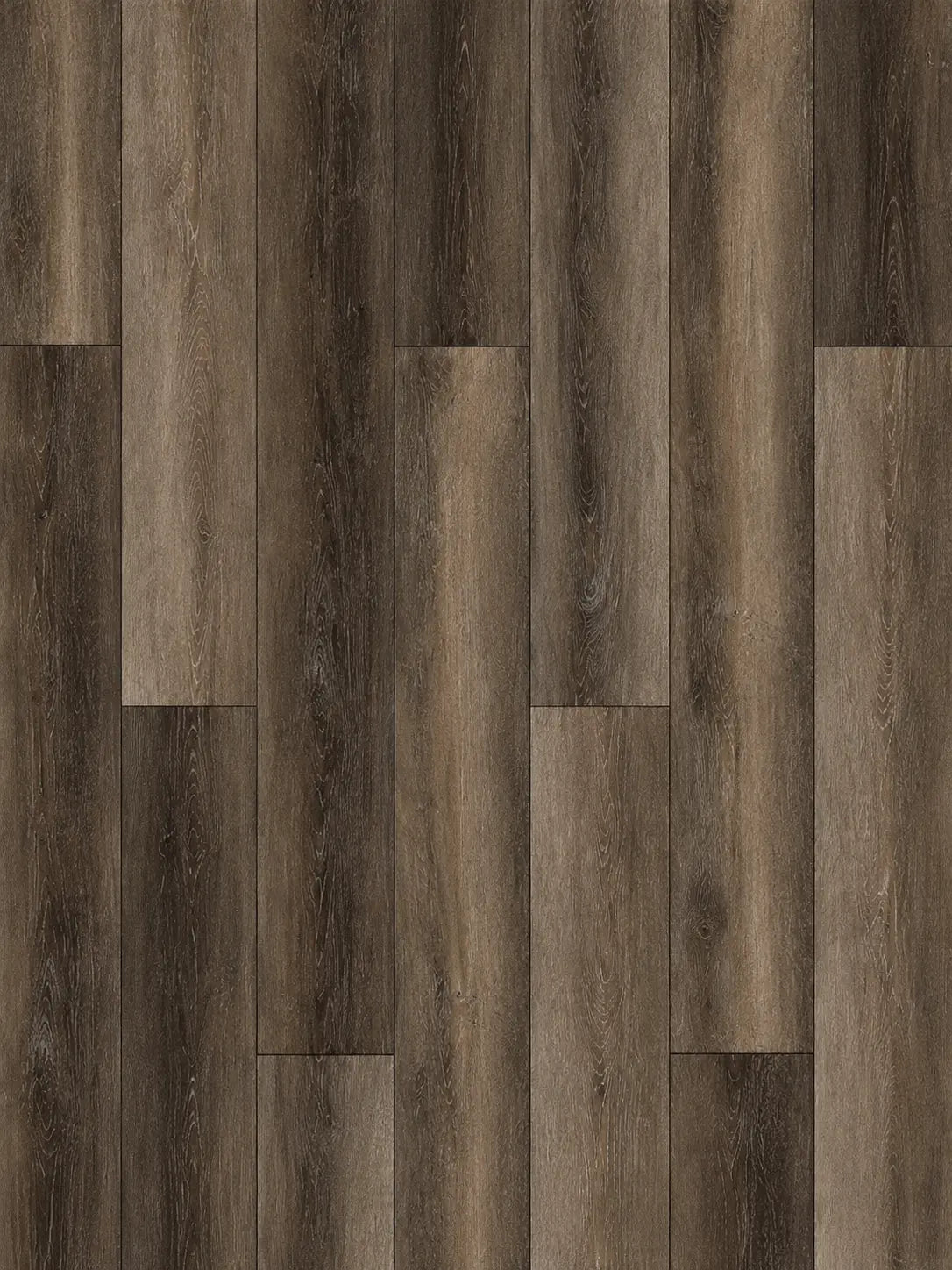 Eiffel Oak