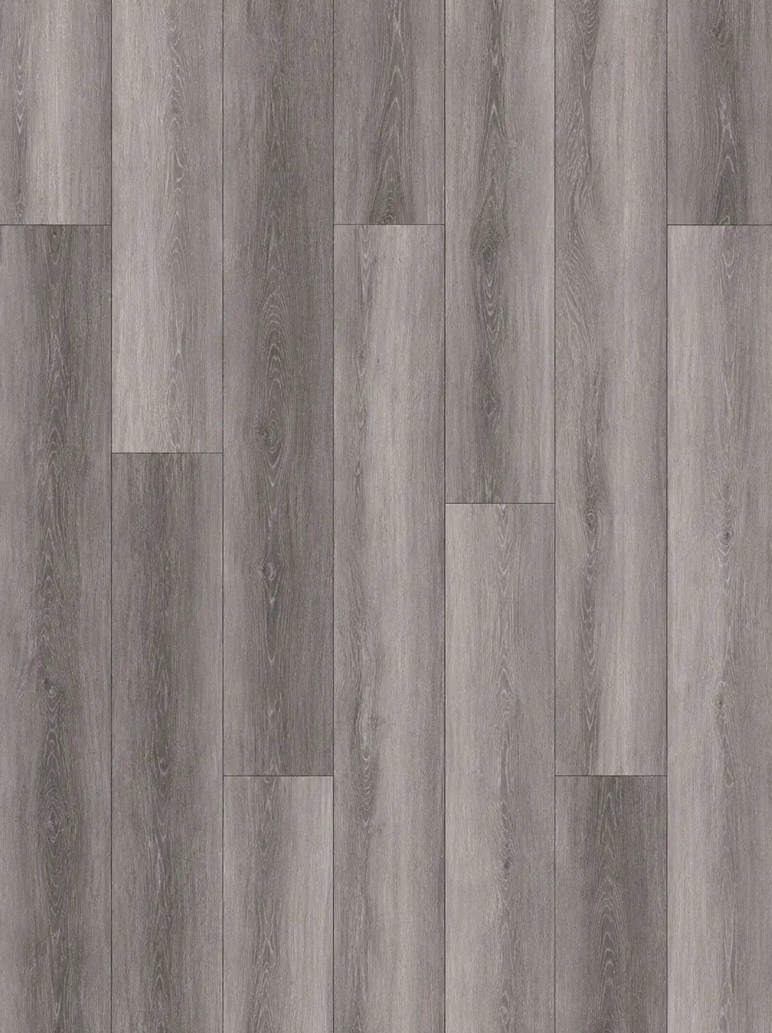 Eiffel Oak