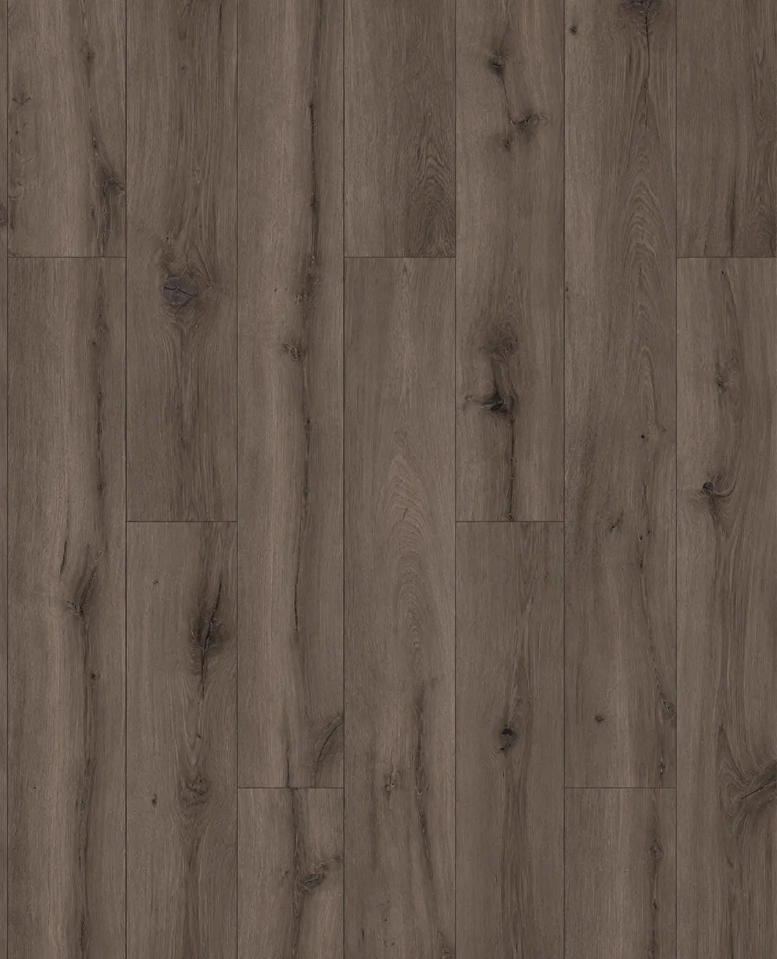 8001/OLSO OAK