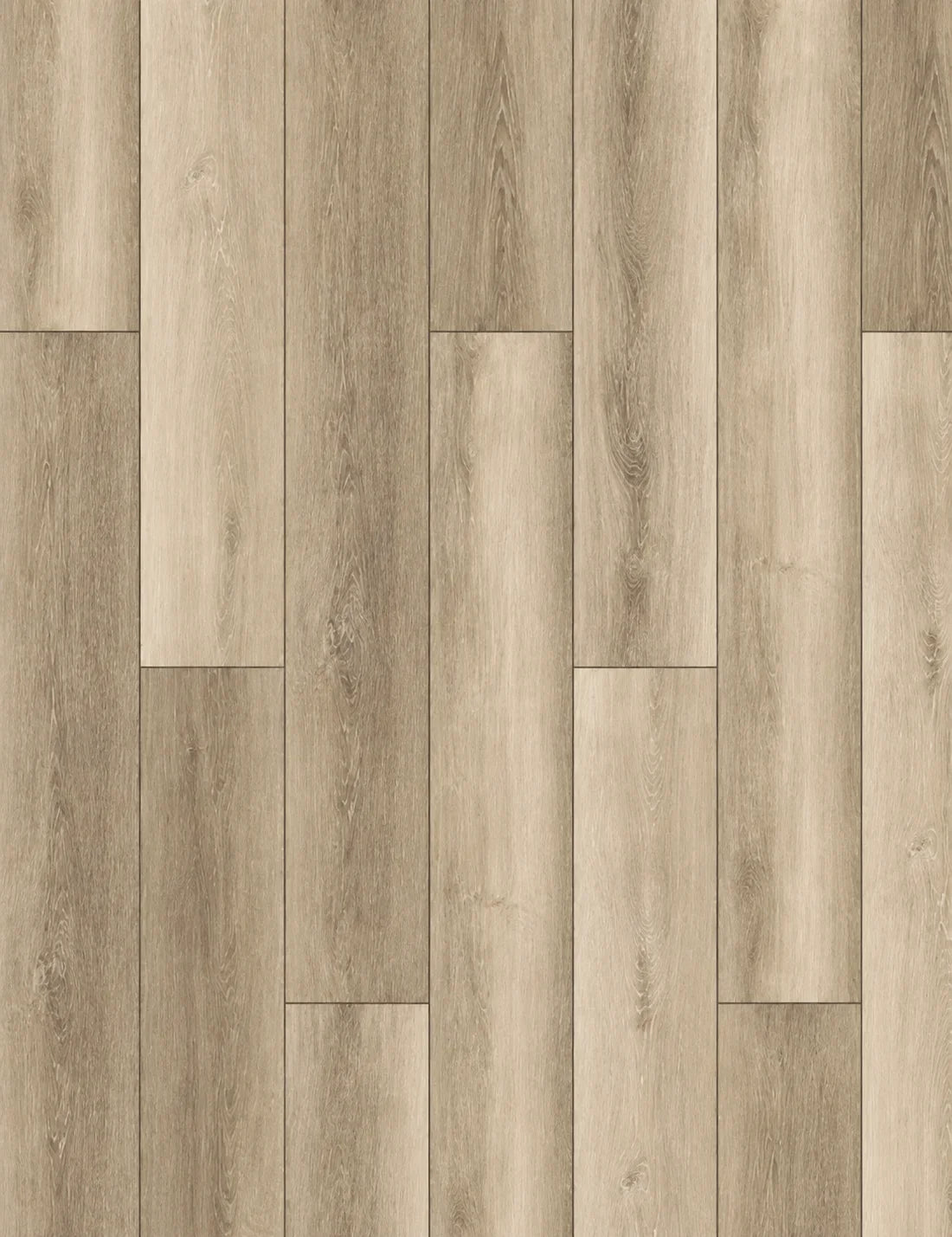 Eiffel Oak
