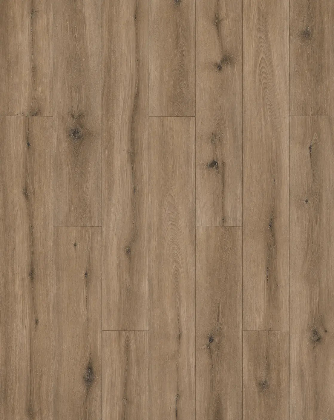 8001/OLSO OAK